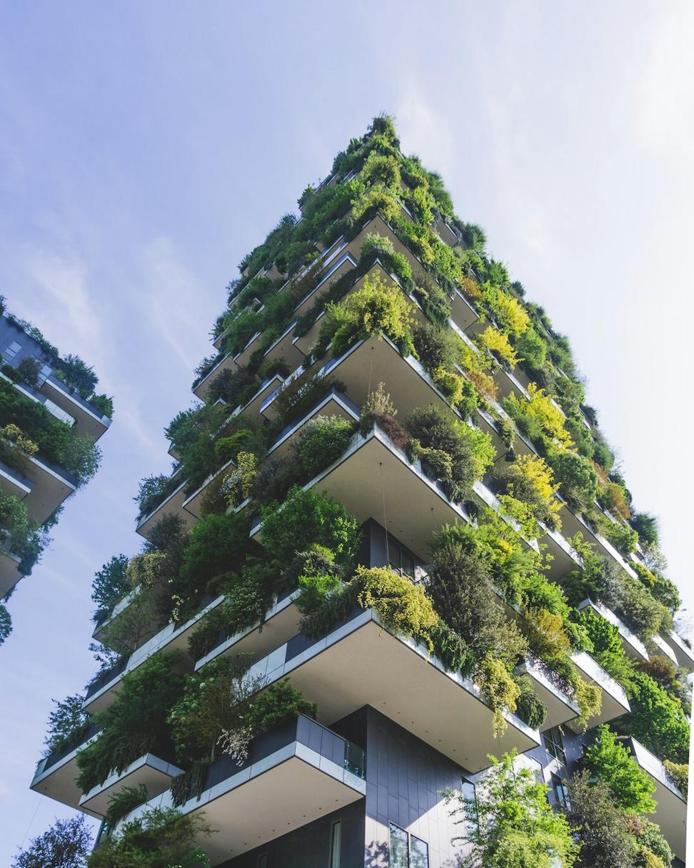 Sustainability Focus