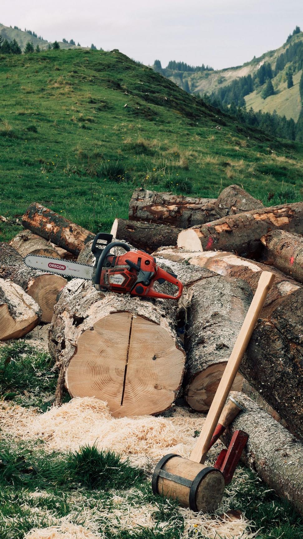 Mass timber construction